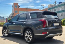 2019 Hyundai Palisade 3.8 7 plazas exclusivo