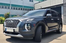 2019 Hyundai Palisade 3.8 7 plazas exclusivo